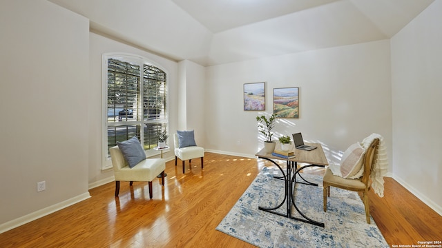 office area featuring hardwood / wood-style flooring