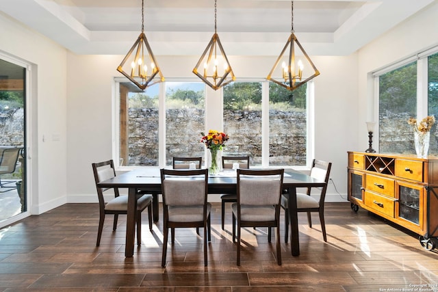 dining area featuring dark hardwood / wood-style flooring and a raised ceiling