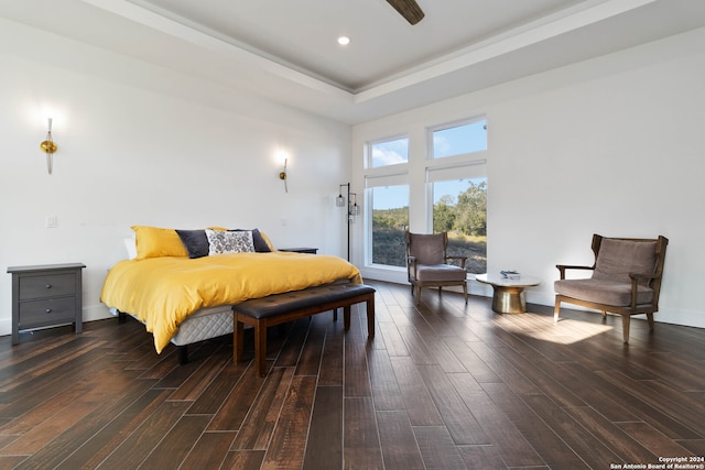 bedroom with dark wood-type flooring and a raised ceiling