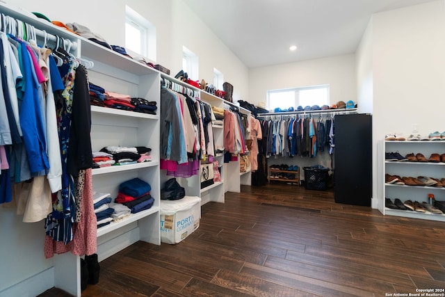 spacious closet with dark hardwood / wood-style flooring