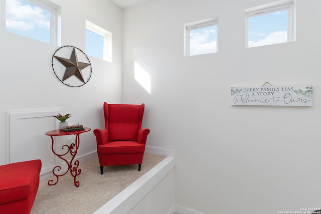 sitting room featuring carpet floors