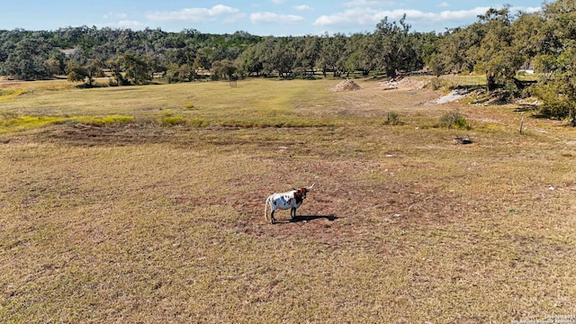 bird's eye view with a rural view