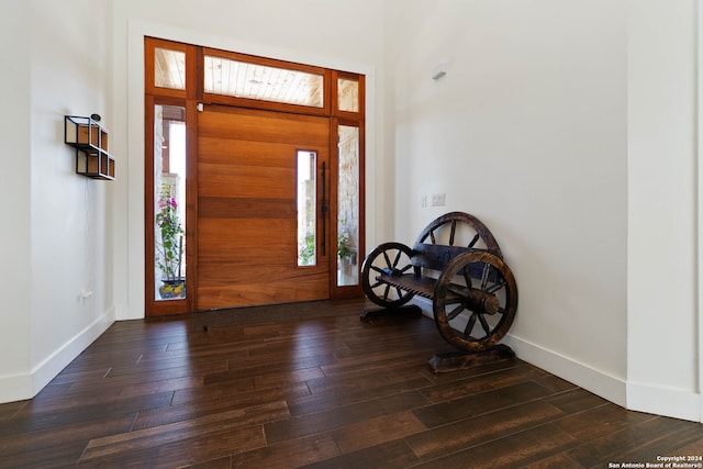 entrance foyer featuring dark hardwood / wood-style flooring