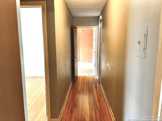 corridor featuring hardwood / wood-style floors and electric panel