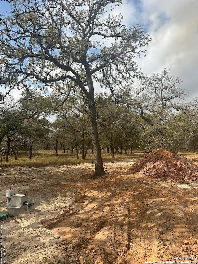 view of local wilderness