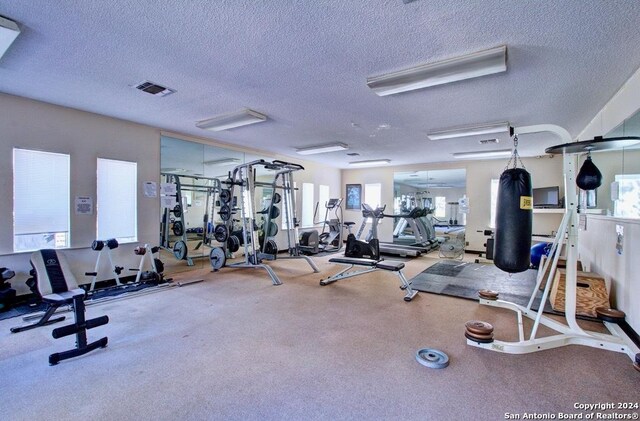 6810 Crown Rdg, San Antonio, TX 78239 - gym featuring a textured ceiling
