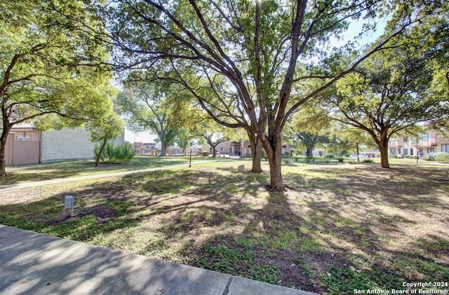 6810 Crown Rdg, San Antonio, TX 78239 - view of yard