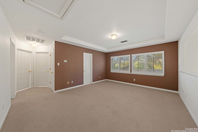 spare room with a raised ceiling and light carpet