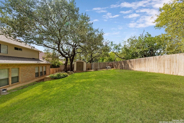 view of yard featuring a storage unit