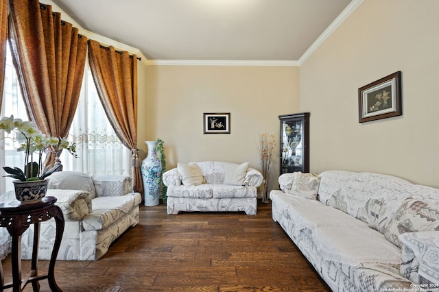 living room featuring crown molding and dark wood-type flooring