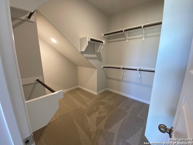 spacious closet with carpet