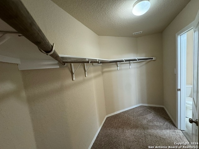 walk in closet featuring carpet flooring