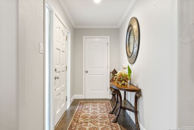 entryway featuring dark hardwood / wood-style flooring and ornamental molding