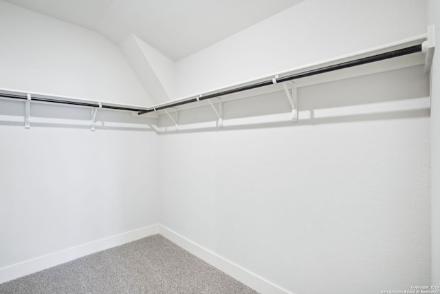 walk in closet featuring carpet flooring and vaulted ceiling