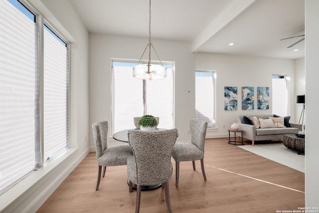 dining space with wood-type flooring and ceiling fan with notable chandelier