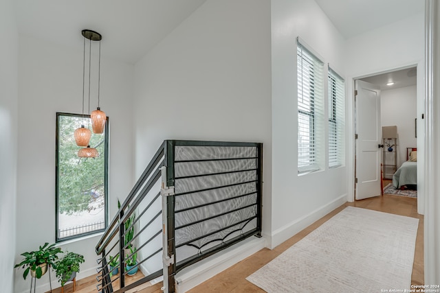 staircase featuring hardwood / wood-style floors and a wealth of natural light