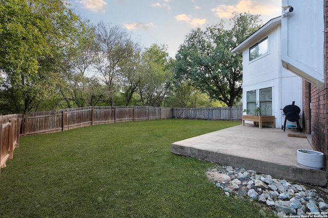 view of yard featuring a patio area