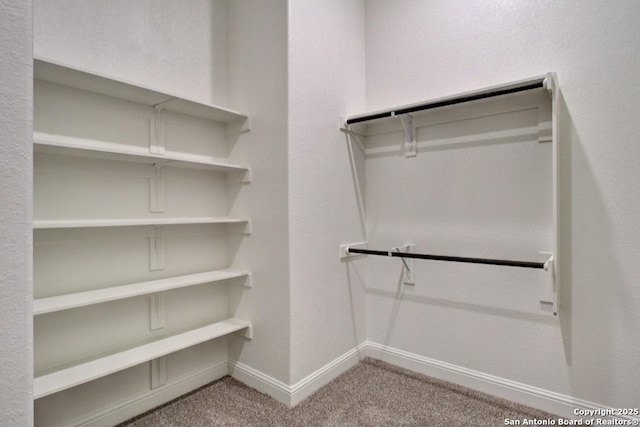 spacious closet with carpet