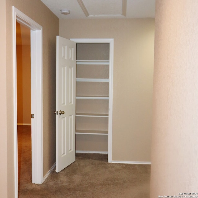 view of closet