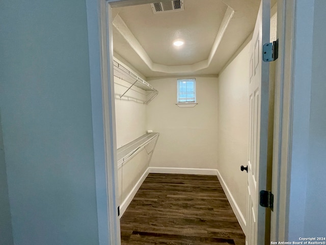 spacious closet featuring a raised ceiling and dark wood-type flooring