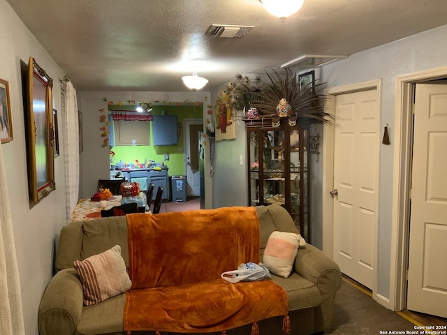 living room with a textured ceiling