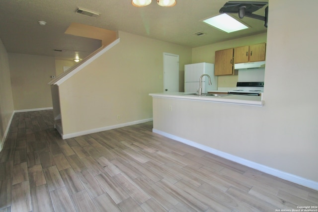 kitchen with light wood-type flooring, white appliances, and sink