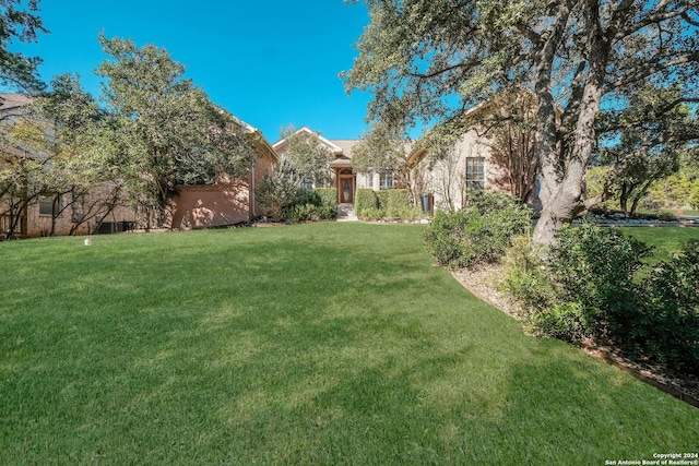view of grassy yard