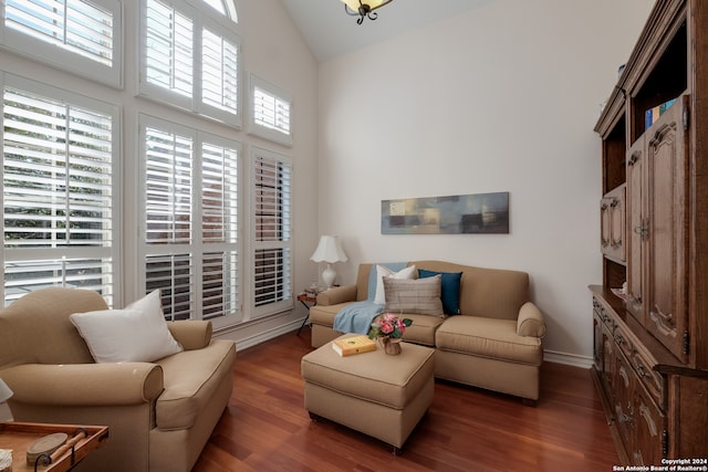 living room with high vaulted ceiling and dark hardwood / wood-style floors