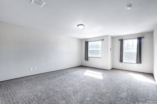 empty room with carpet, plenty of natural light, and a textured ceiling