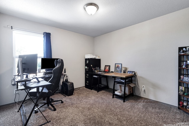 home office with carpet