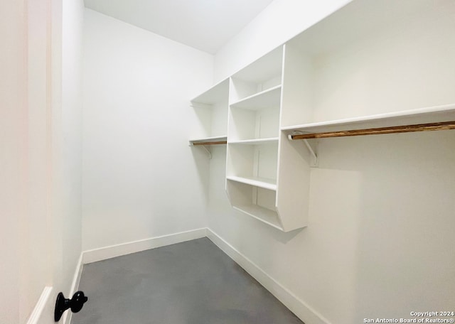 walk in closet with carpet floors