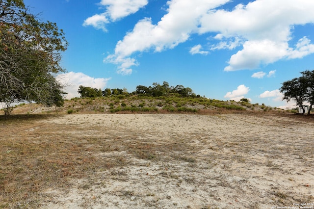 view of local wilderness