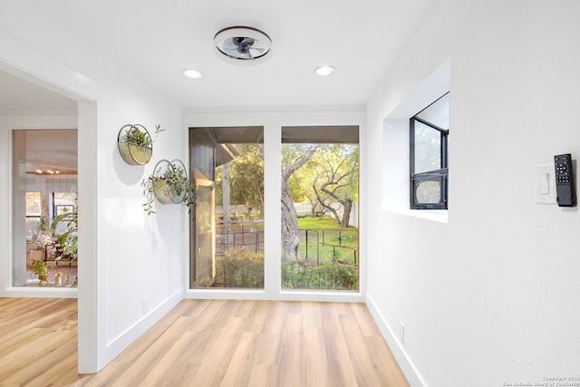 doorway featuring light wood-type flooring and a healthy amount of sunlight