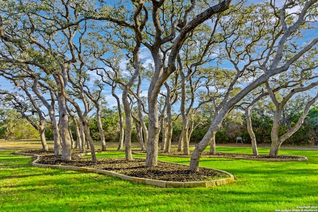 view of community featuring a lawn