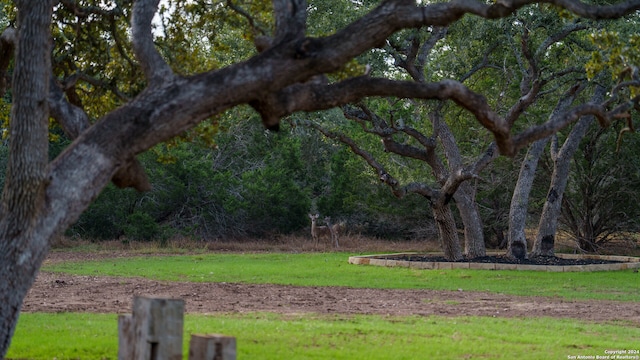 view of community with a lawn