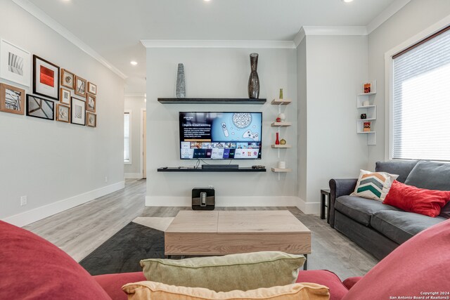 living room featuring crown molding and light hardwood / wood-style floors