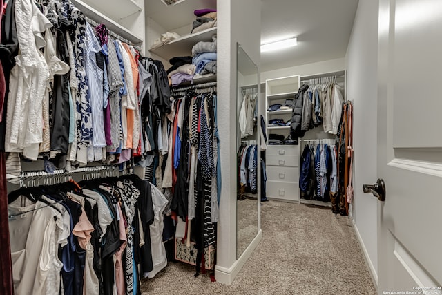 spacious closet featuring carpet