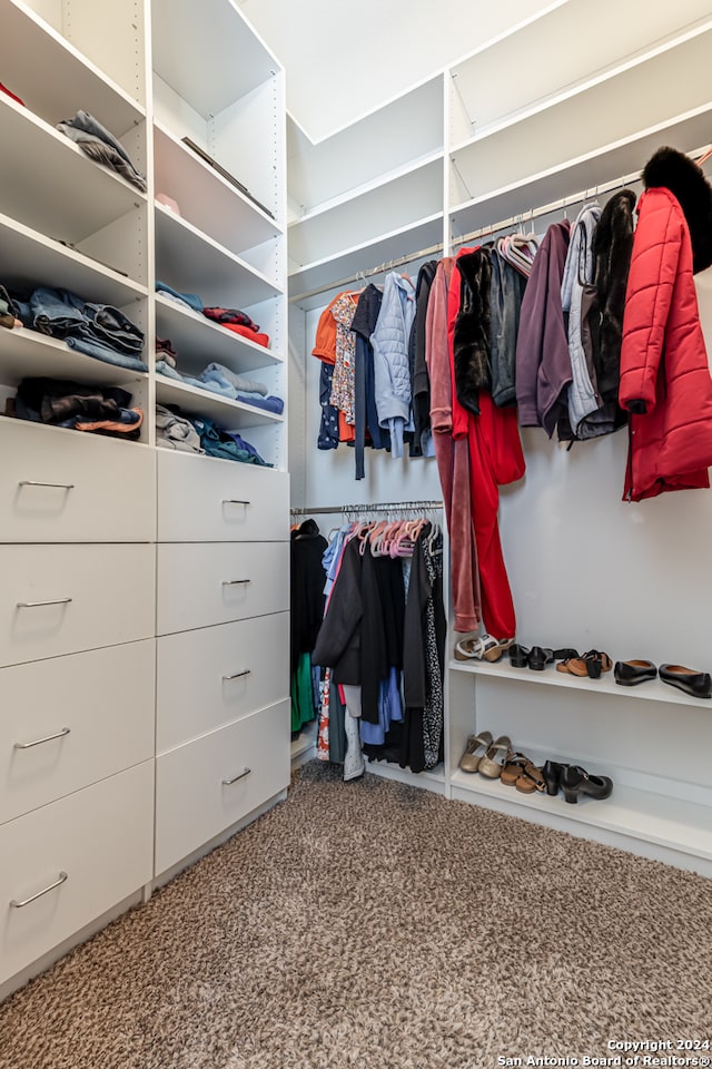 spacious closet featuring carpet