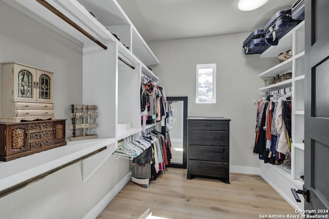 spacious closet featuring light wood-type flooring