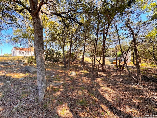 Listing photo 2 for 393 Shayla Ln, Canyon Lake TX 78133