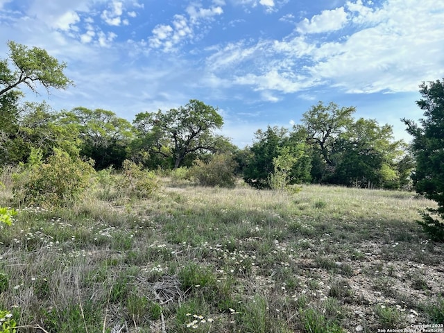 23111 Taylor Rdg, San Antonio TX, 78255 land for sale