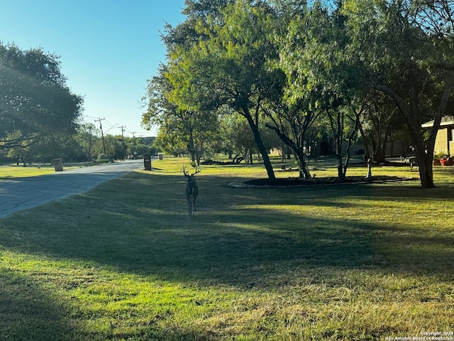 view of property's community featuring a yard