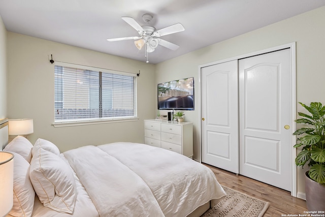 bedroom featuring a closet, light hardwood / wood-style floors, and ceiling fan