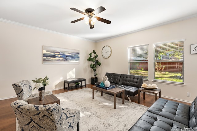 living room featuring dark hardwood / wood-style floors, ceiling fan, and ornamental molding