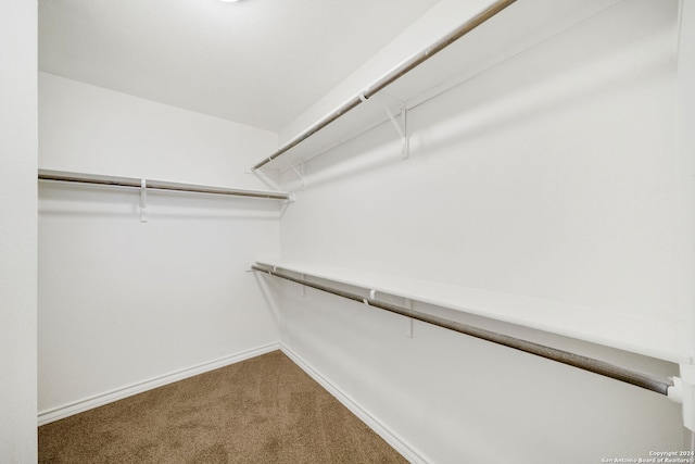 walk in closet featuring carpet