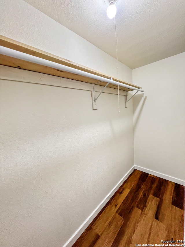 spacious closet featuring dark wood-type flooring