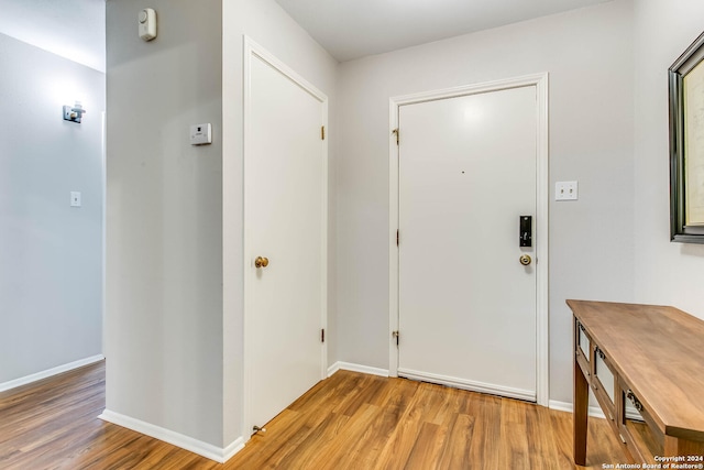 entrance foyer featuring hardwood / wood-style flooring