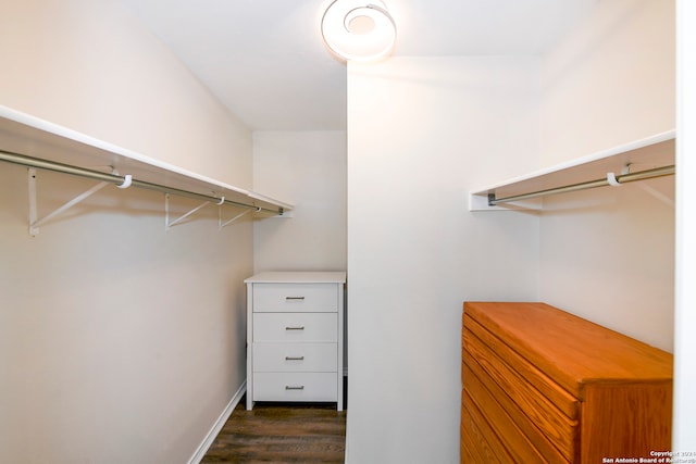 walk in closet with dark hardwood / wood-style flooring