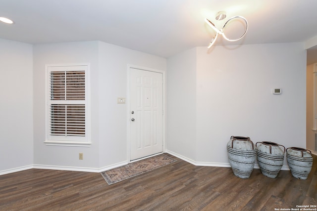 entrance foyer with dark hardwood / wood-style flooring