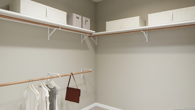 view of spacious closet